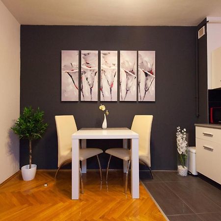 Apartman Aurelius - Private Parking 奥西耶克 外观 照片